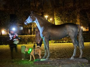 Mehr über den Artikel erfahren Haloween Special 2025